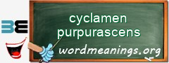 WordMeaning blackboard for cyclamen purpurascens